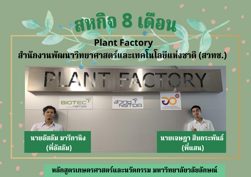 สหกิจ plan Factory สวทช.