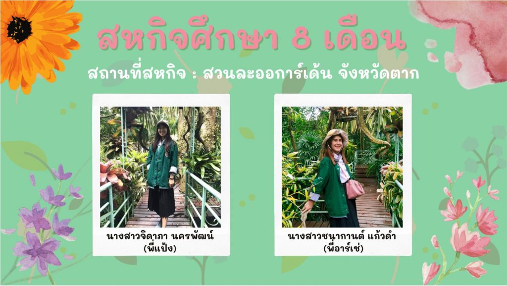 สหกิจ สวนละออการ์เดน จังหวัดตาก