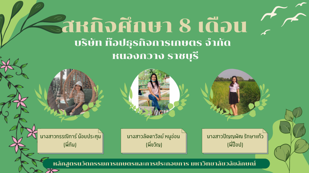 สหกิจศึกษา บริษัท ท็อปธุรกิจการเกษตร จำกัด หนองกวาง จ.ราชบุรี