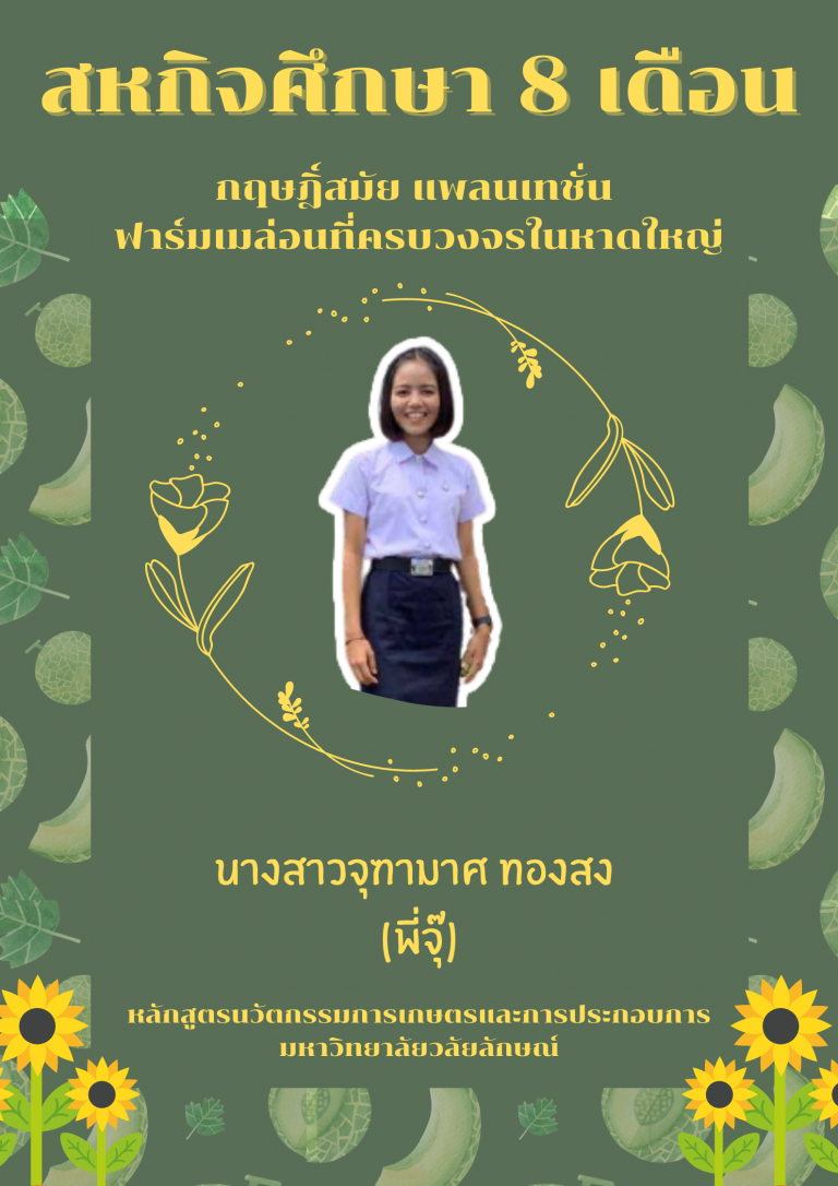 สหกิจ กฤษฎิ์สมัย แพลนเทชั่น ฟาร์มเมล่อนที่ครบวงจรในหาดใหญ่