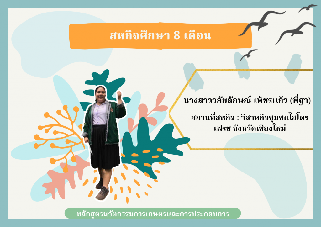 นางสาววลัยลักษณ์ เพ็ชรแก้ว ปฏิบัติสหกิจศึกษาที่ วิสาสหกิจชุมชนไฮโดรเฟรช เชียงใหม่