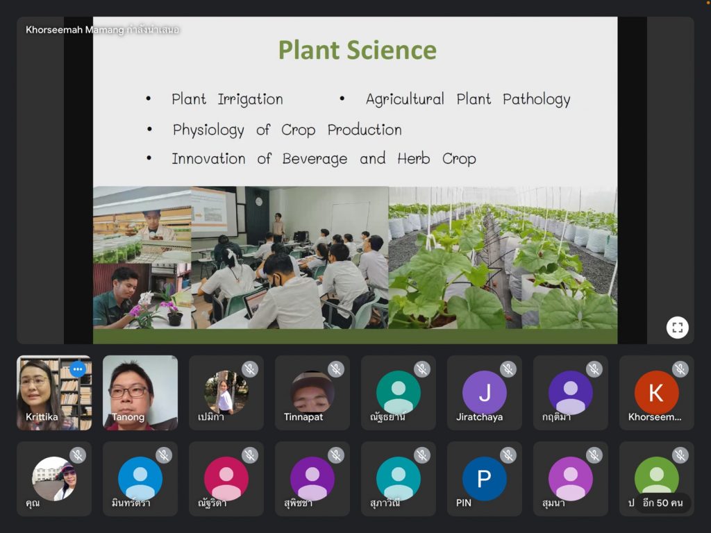 ห้องแนะแนว SAF Online