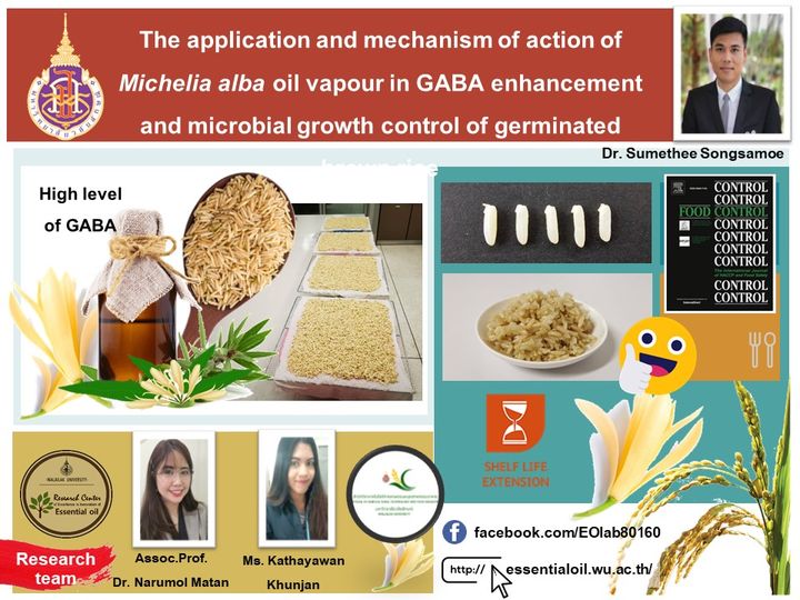 วิธีการเพิ่มสารกาบา (Gamma-aminobutyric acid, GABA)