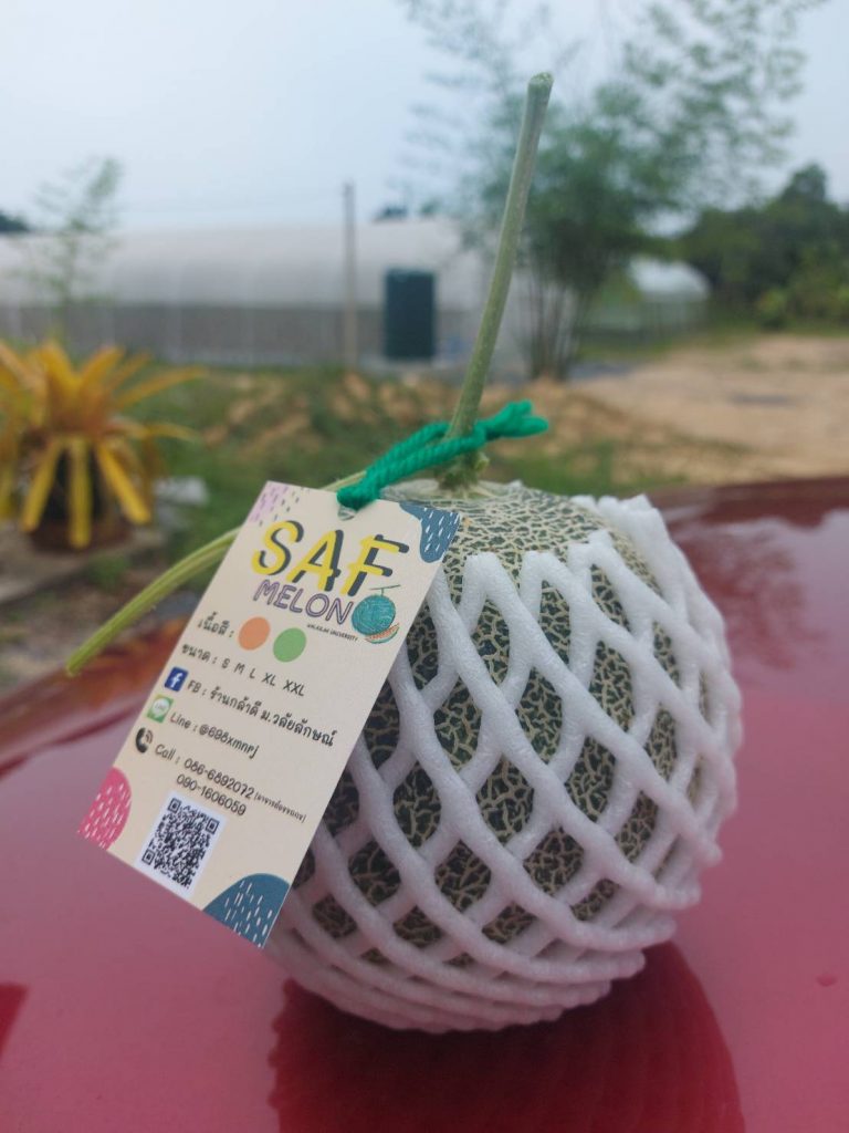 เมล่อน