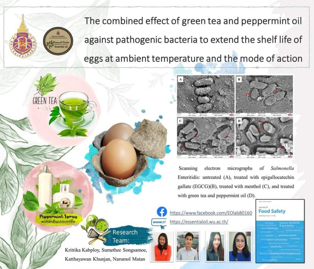 สเปรย์น้ำมันหอมระเหยจากใบสะระแหน่ผสมชาเขียว