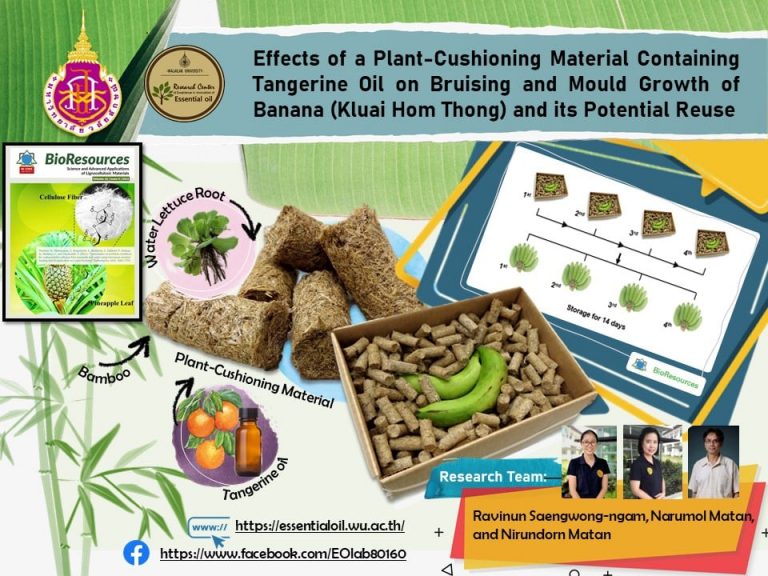 วัสดุกันกระแทกจากพืชน้ำที่มีน้ำมันหอมระเหย