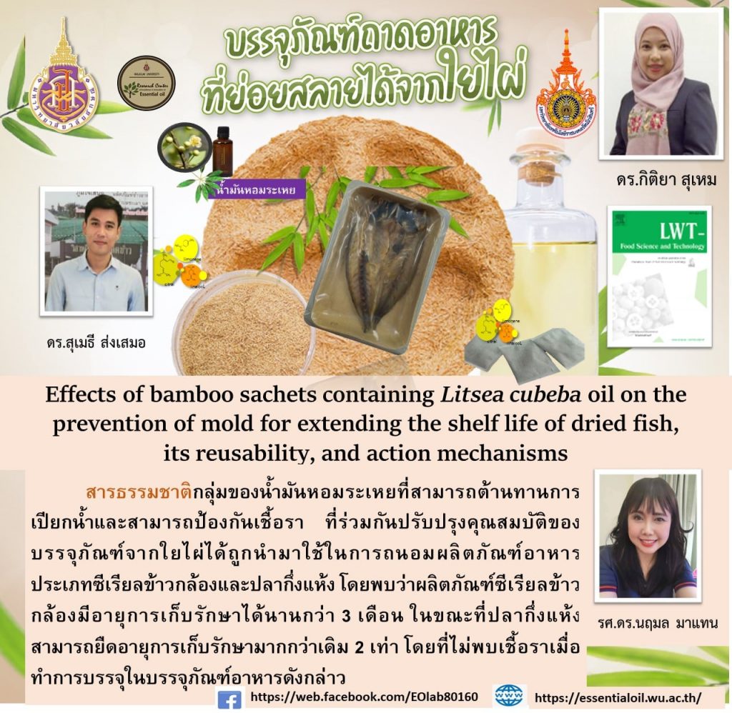 งานวิจัยบรรจุภัณฑ์จากใยไผ่