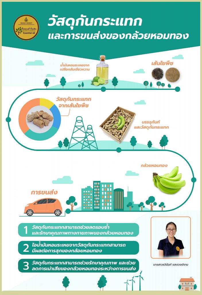 ผลงานวิจัยการค้นพบวิธีการขนส่งกล้วยหอมทองโดยใช้วัสดุกันกระแทก