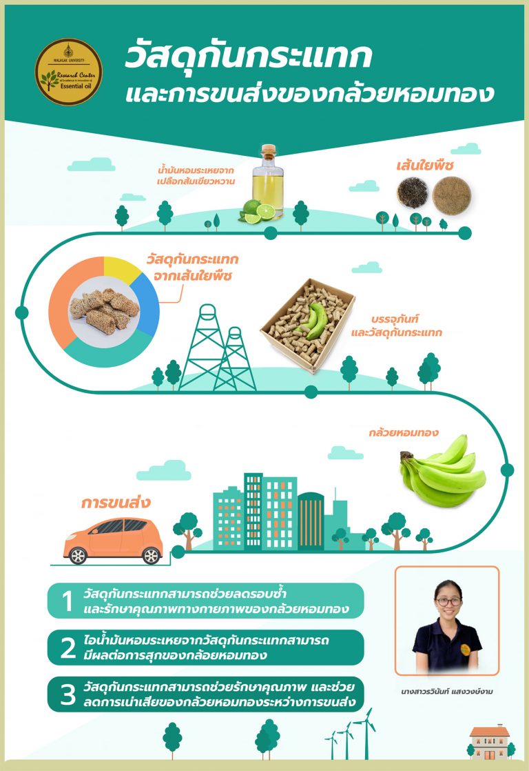 ผลงานวิจัยการค้นพบวิธีการขนส่งกล้วยหอมทองโดยใช้วัสดุกันกระแทก