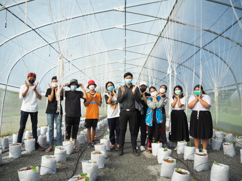 โครงการปลูกเมล่อน