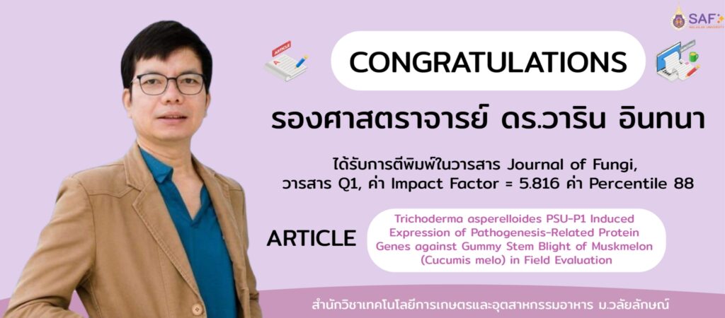 งานวิจัย