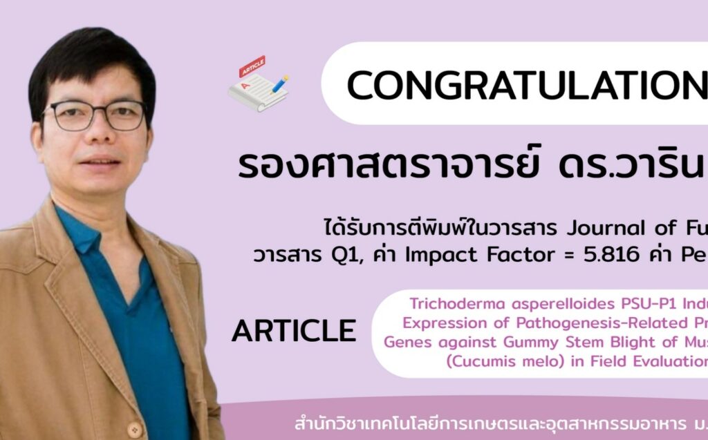 งานวิจัย