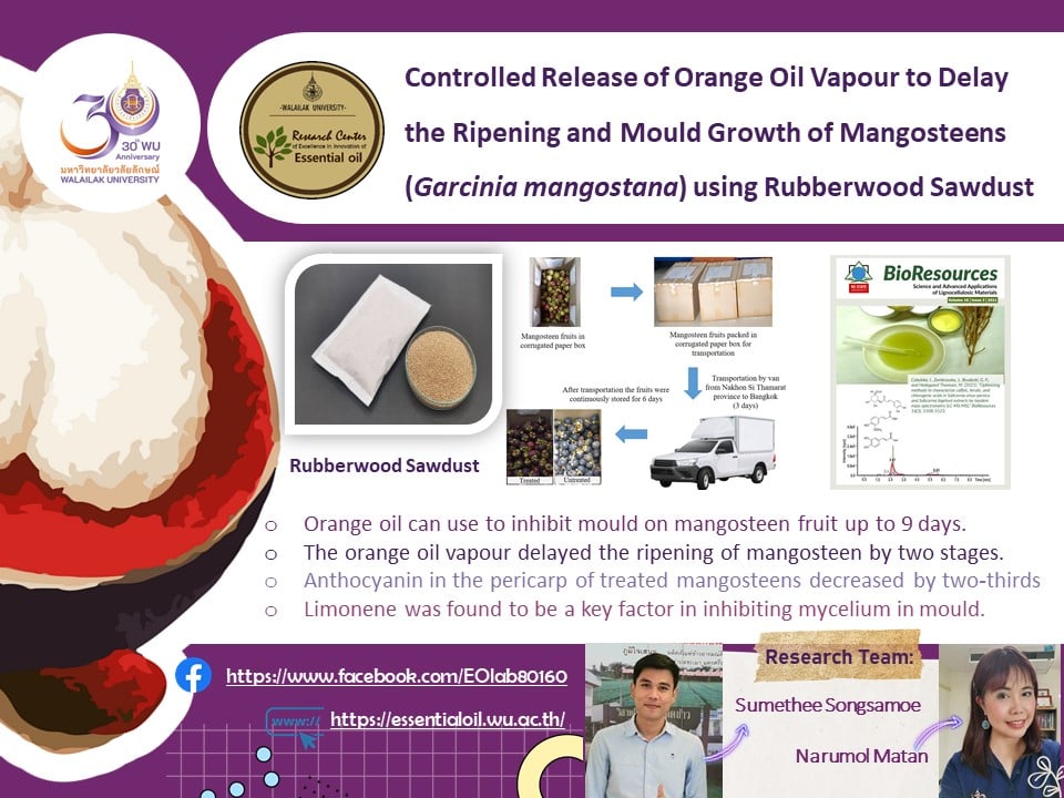 ผลงานวิจัย