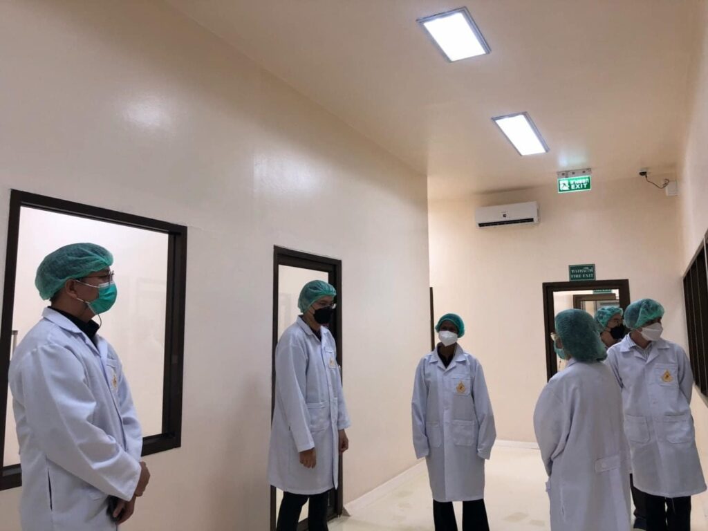 ดูงานกัญชาที่ มฟล.