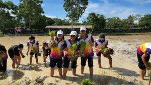 กิจกรรมดำนาปลูกข้าว