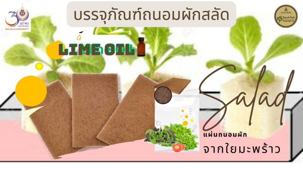 นวัตกรรมวัตถุดูดซับจากเส้นใยมะพร้าว