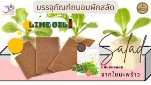นวัตกรรมวัตถุดูดซับจากเส้นใยมะพร้าว