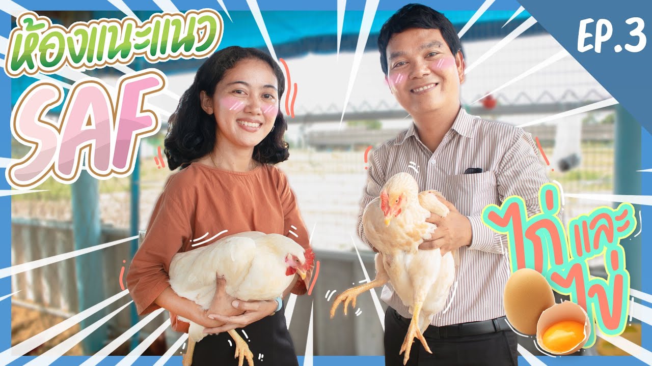 ห้องแนะแนวออนไลน์ SAF EP3 | ไก่ และไข่