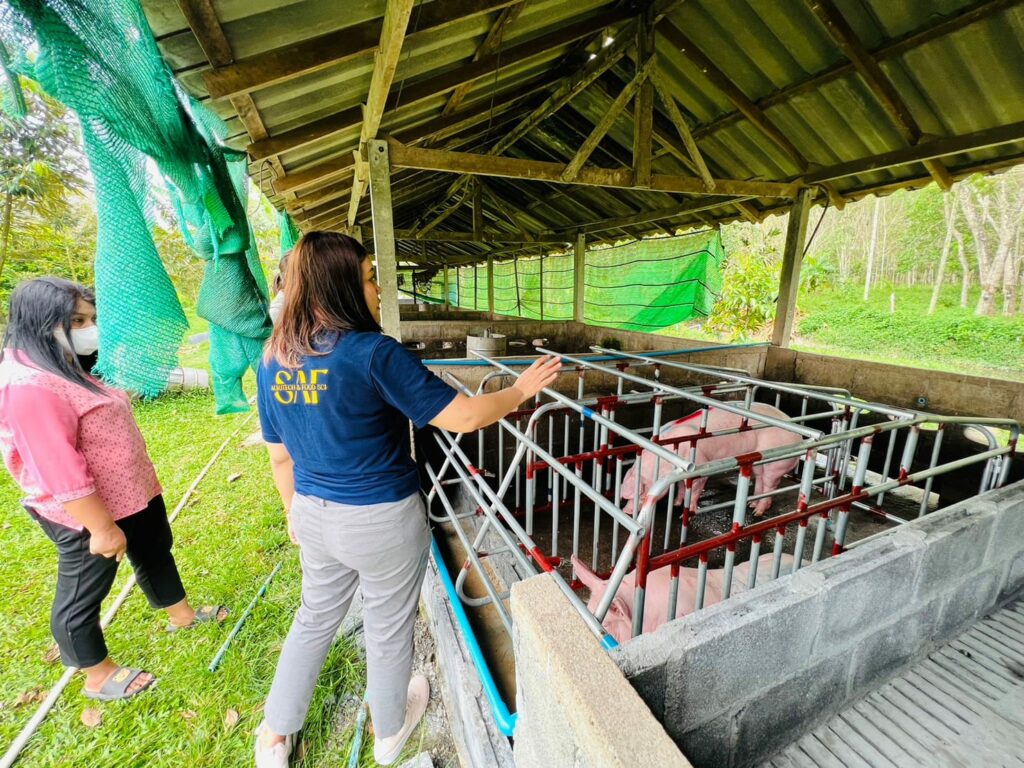 บริการวิชาการ อ.ดร.กฤติกา กาบพลอย