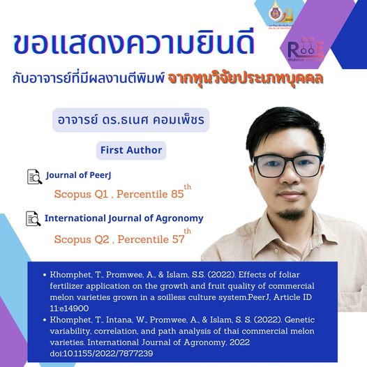 ทุนวิจัยประเภทบุคคล