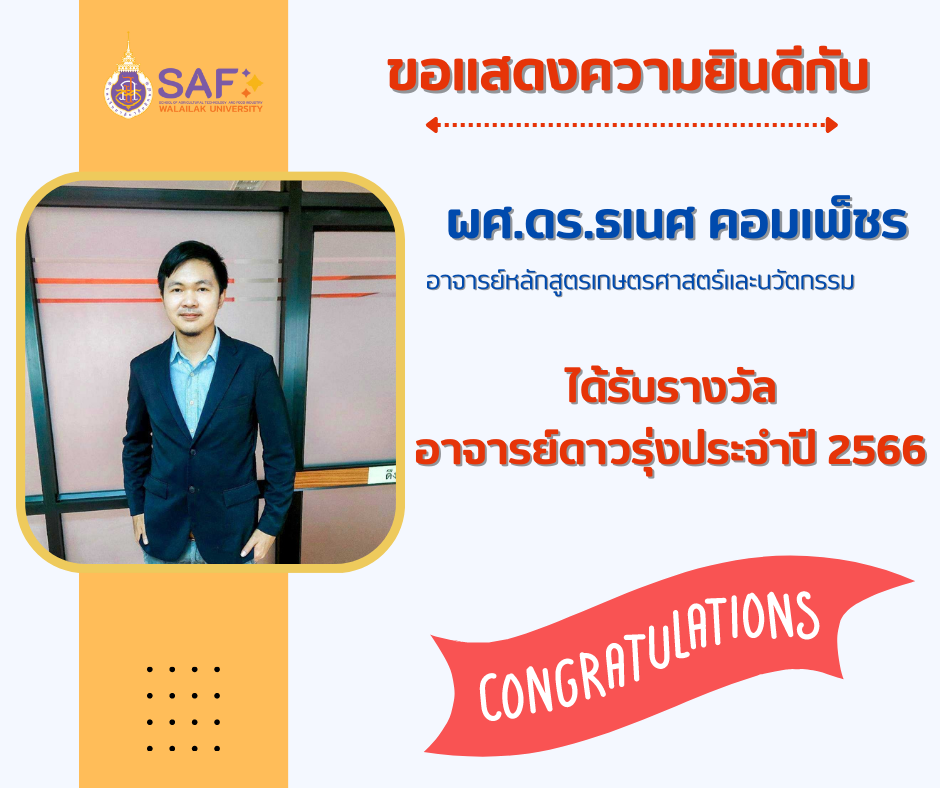 รางวัลอาจารย์ดาวรุ่ง