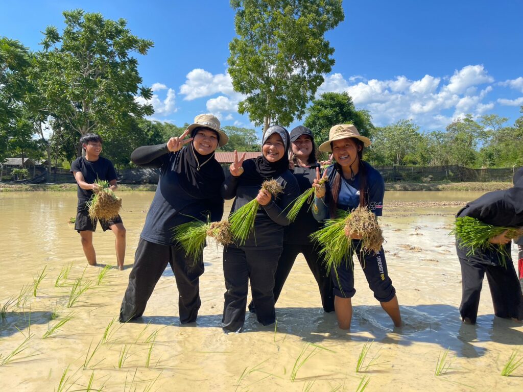 กิจกรรมดำนา 2023