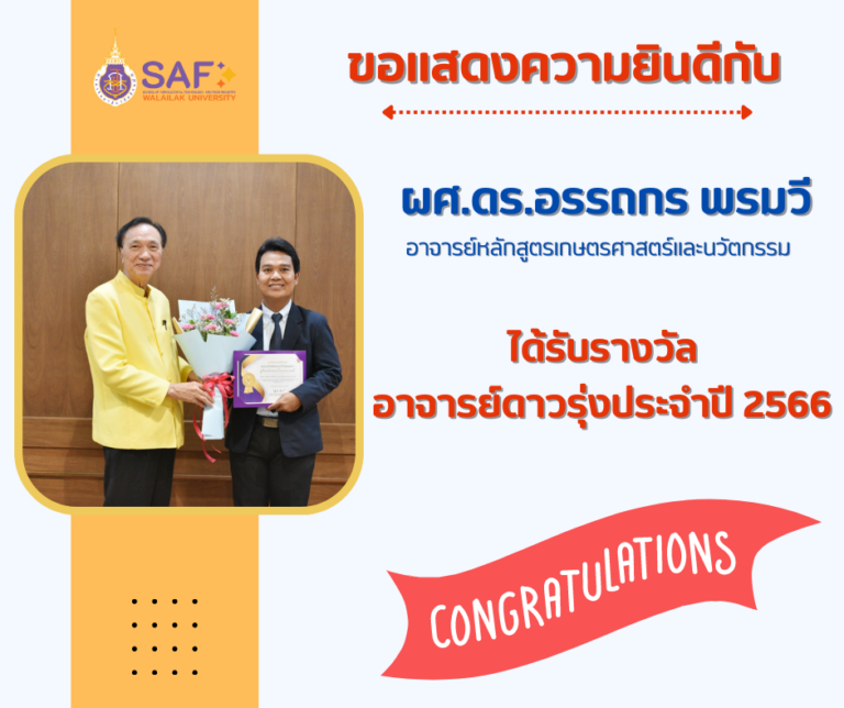 รางวัลอาจารย์ดาวรุ่ง