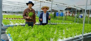 บริการวิชาการ