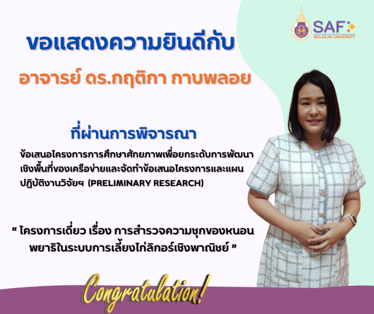 โครงการการศึกษาศักยภาพเพื่อยกระดับการพัฒนาเชิงพื้นที่