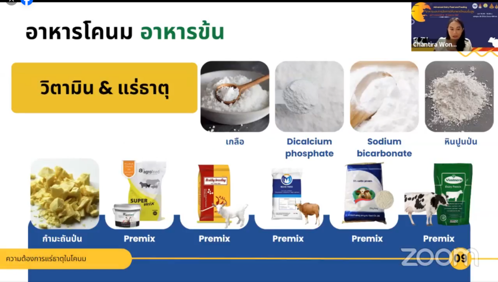 อบรมออนไลน์อาหารและการจัดการโคนมขั้นสูง