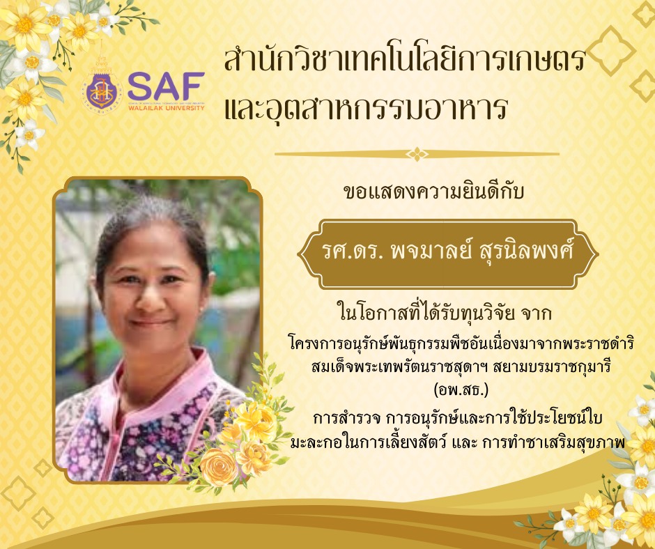 อาจารย์ได้รับทุนวิจัย