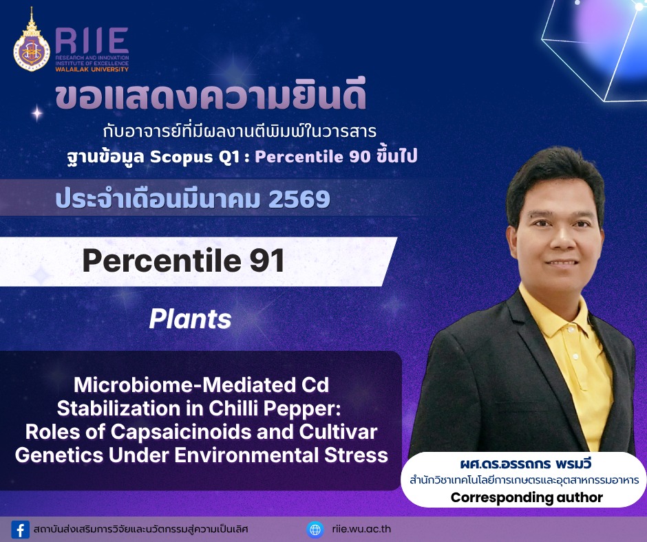 งานวิจัย