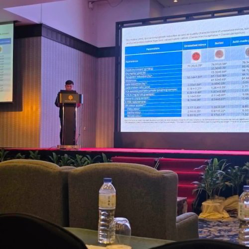 SAF at IFRC 2026