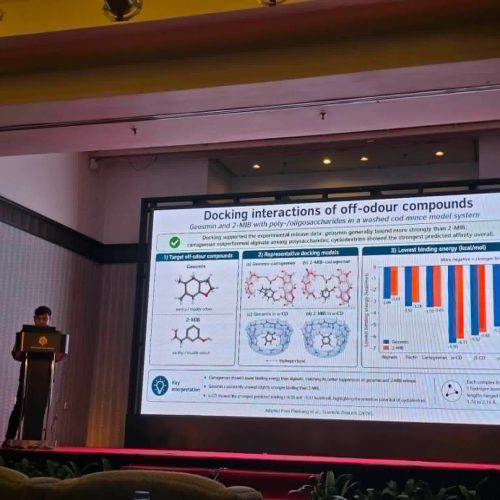 SAF at IFRC 2026