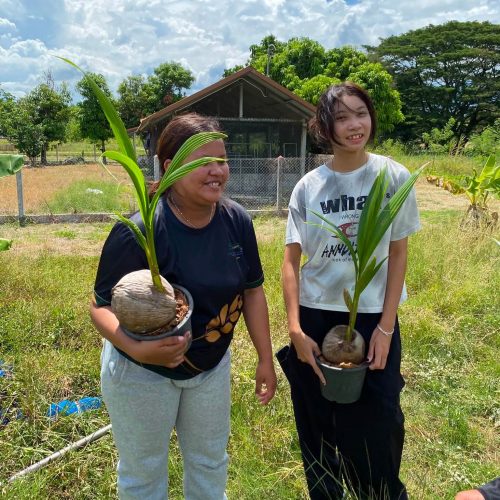 กิจกรรมค่ายอาสา “กล้าดีอาสา”